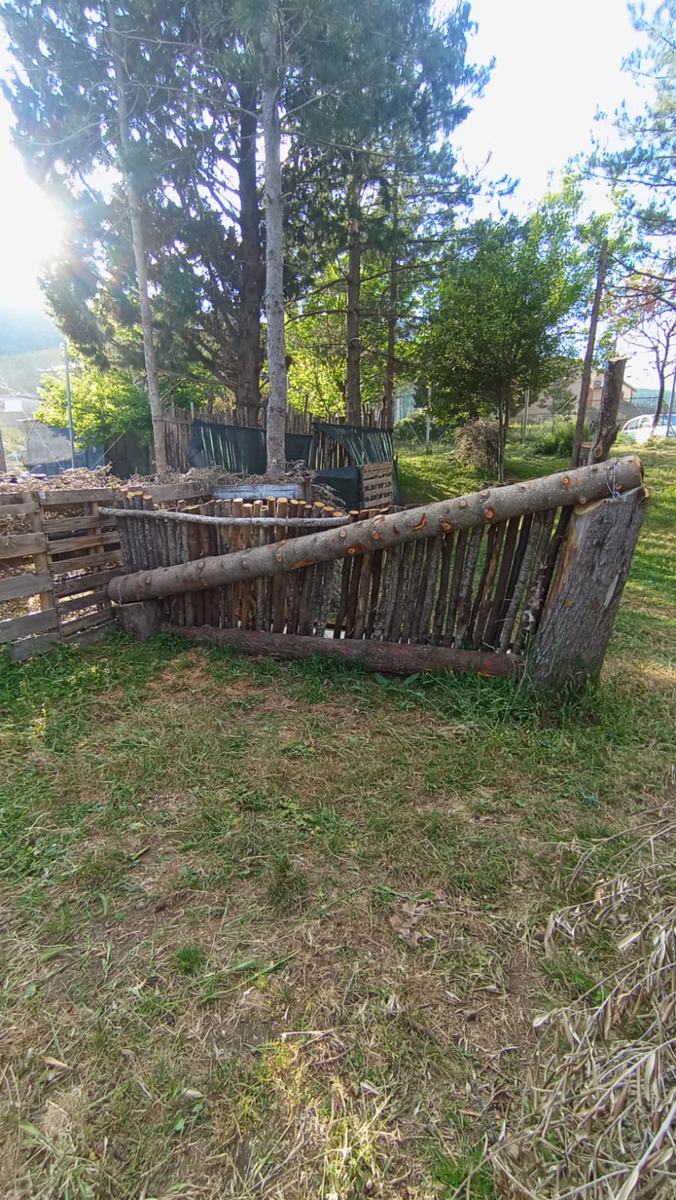 Il nuovo campo