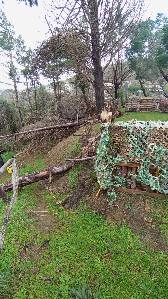 Before Cyclone Harry